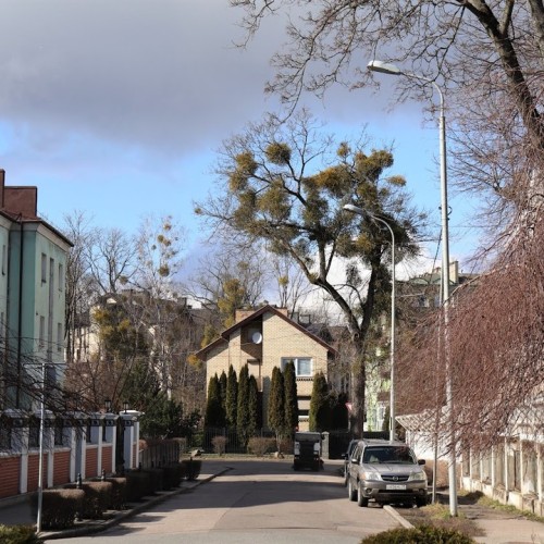 Новые грани Калининграда: необычные экскурсии и нетуристические маршруты