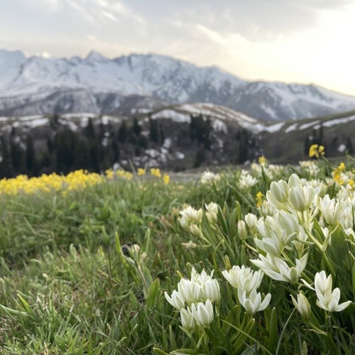 Галопом по Карачаево-Черкесии: конный выезд для опытных всадников