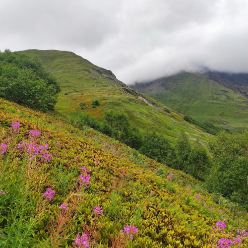 От предгорий Краснодарского края до лугов Красной поляны: треккинг-путешествие