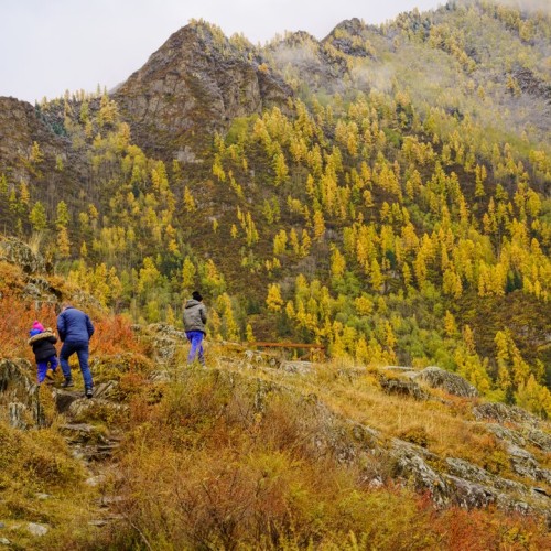 50 оттенков золота: путешествие по сентябрьскому Алтаю в мини-группе