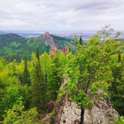 Красноярские Столбы 3 в 1: Ермак, Китайская стенка, Воробушки