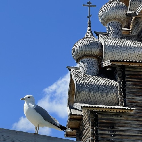 Стоит видеть и пробовать: «Рускеала», Валаам, Кижи и карельская кухня из Петербурга (всё включено)