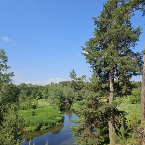 Выходные-перезагрузка на реке Шерне: сплав на байдарках (всё включено)