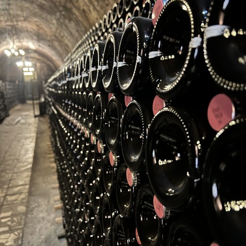 Индивидуальный автотур по Геленджику, Новороссийску и окрестностям