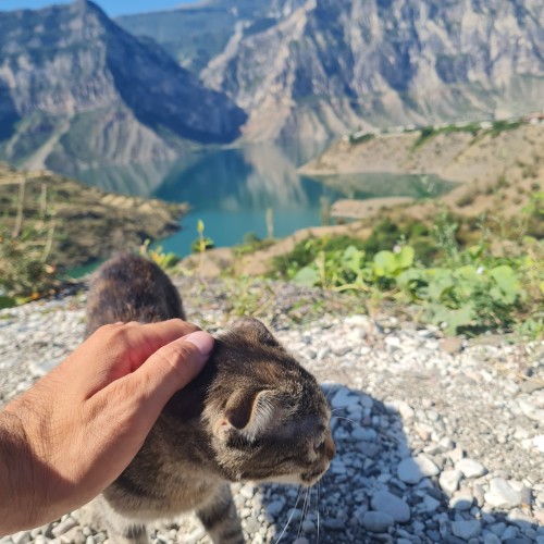 В Дагестан за приключениями, релаксом и природными чудесами (с аэросъёмкой)