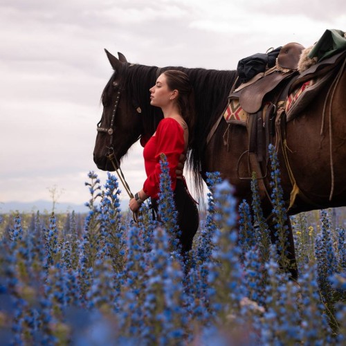 Бороздим просторы Алтая верхом: активный тур для опытных всадников с фотосъёмкой