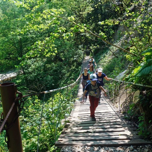 Лёгкий треккинг в субтропиках с проживанием в гостинице в Адлере