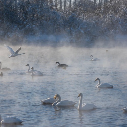 Топовые места Алтая в мини-группе: Гейзерное озеро, Чуйский тракт, долина Горных духов и Патмос