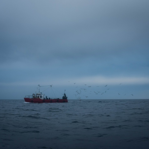 Удивительный Кольский: Сейдозеро, полуостров Средний и Териберка