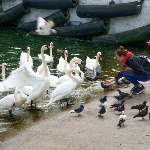 Погружение в историю Калининградской области: форты, боевые укрепления и бункеры