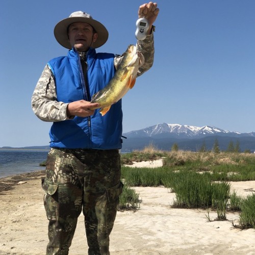 Богатство Байкала: рыбалка на реках и в диких местах на озере с катера