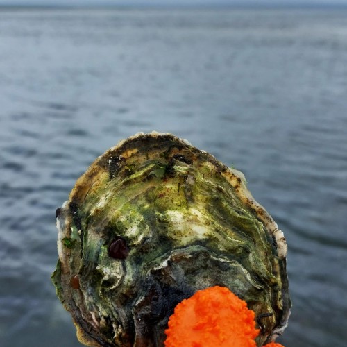 Путешествие от Сахалина до Итурупа: вулканы, горячие источники и океанские просторы