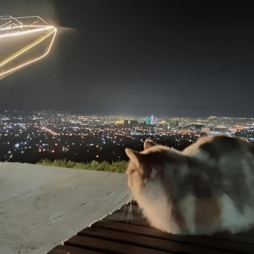Из Дербента — в Чечню