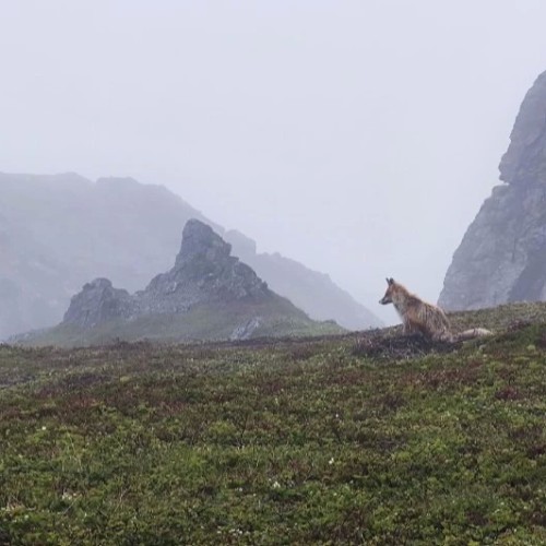 На самый-самый север: автопутешествие по Рыбачьему и Среднему