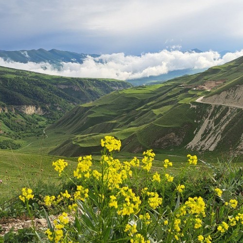 3 дня в Чечне: индивидуальное путешествие с экскурсиями на выбор