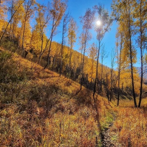 Конный тур для новичков по осеннему Алтаю с проживанием на базе. Всё включено