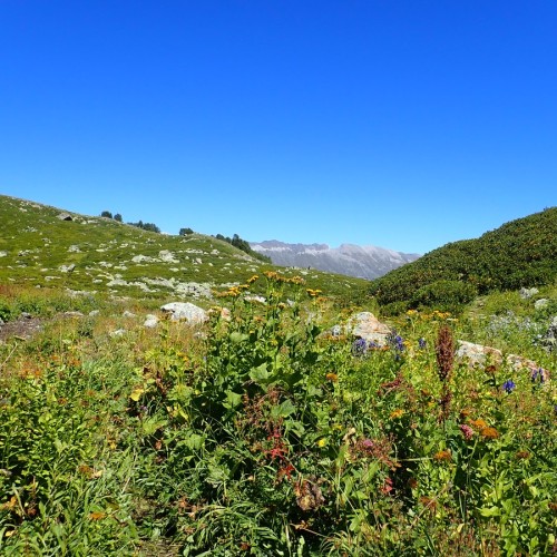 Треккинг-тур в Архыз с комфортом: прогулки в горах налегке с проживанием в гостевом доме