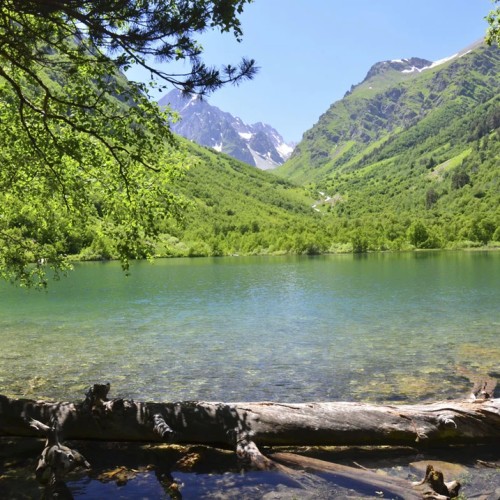 Лёгкий треккинг в горах Домбая с комфортом