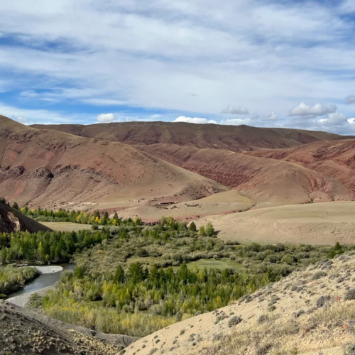 Алтайские тропы: красота природы с комфортом