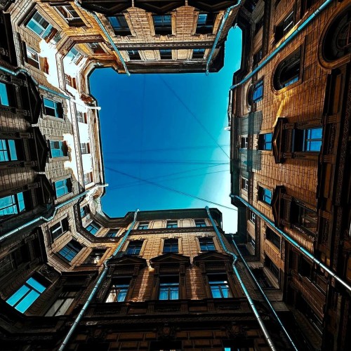 Тайная жизнь дворов и доходных домов Петербурга