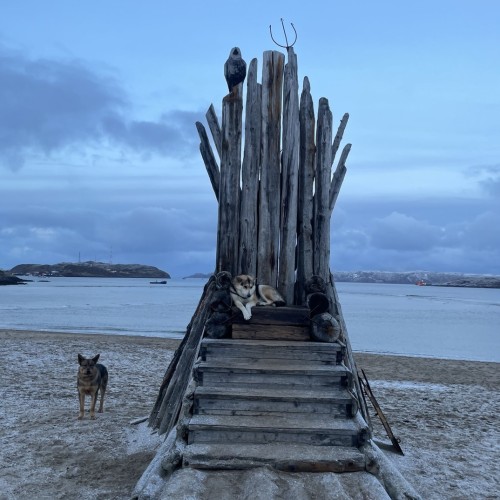 Своей компанией на Русский Север: Мурманск, Териберка, Кировск и саамы