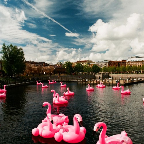 Новая Голландия: история, мифы, скрытые детали