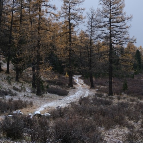 Знакомство с Алтаем своей компанией: снежные вершины, кристальные озёра и заповедные тропы
