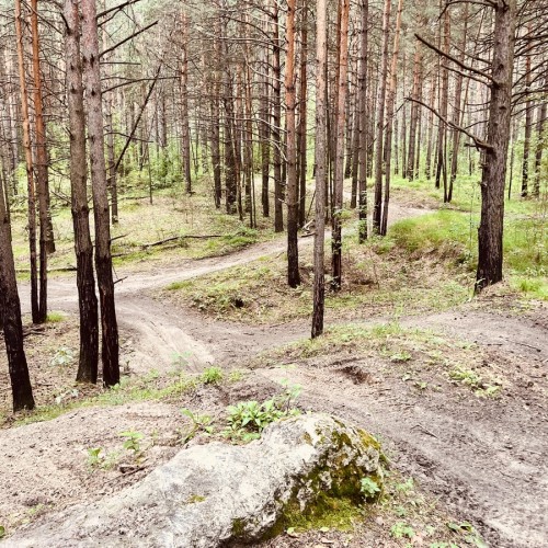 Велопрогулка по окрестностям Новосибирска