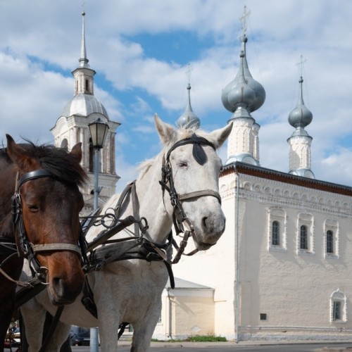 Родные просторы вблизи златоглавой: древние города, мастер-классы, застолья и отдых на пасеке