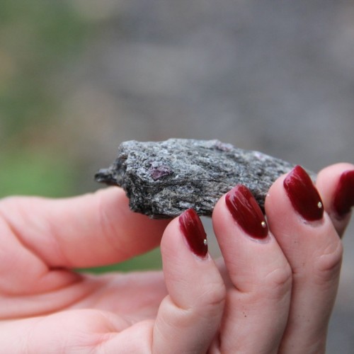 Дом у озера: отдых на берегу Ладоги и экскурсии