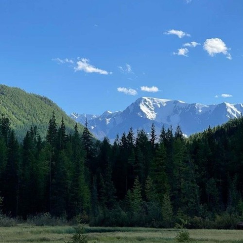 На Алтай из Новосибирска в мини-группе с проживанием в экодоме: топовые места и фермы
