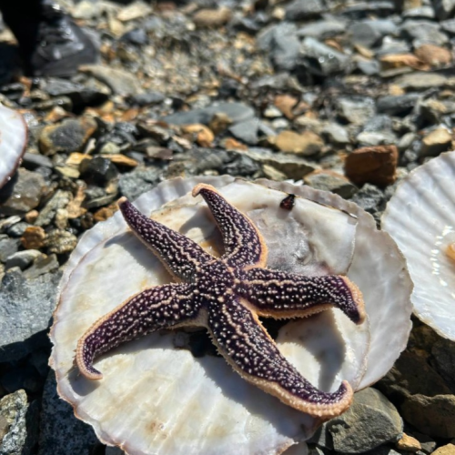 Индивидуальная перезагрузка на берегу заповедной бухты Петрова