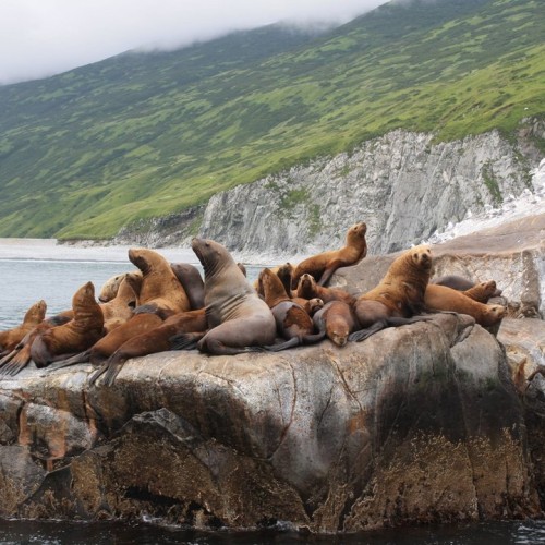 На Камчатке — вкусно есть: гастротур с рыбалкой и крабовой вечеринкой у океана