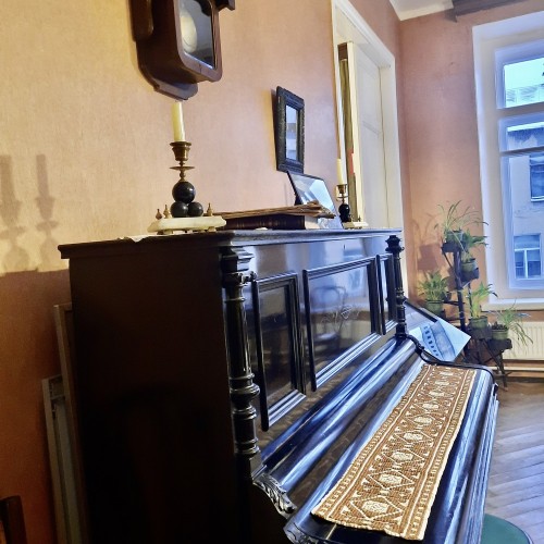 Прогулка по району Пески + музей-квартира Аллилуевых