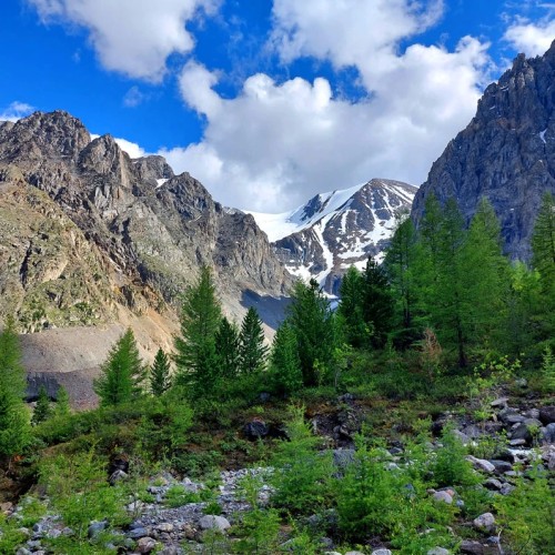 К ледникам: треккинг налегке в ущелье Актру с проживанием на турбазе