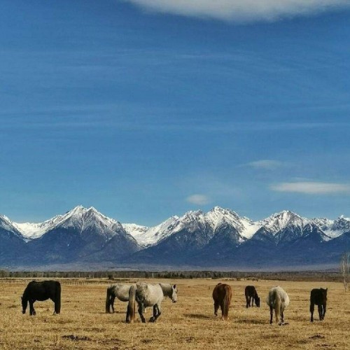 Влюбиться в Байкал: Ольхон, Листвянка и лучшие локации только для вас