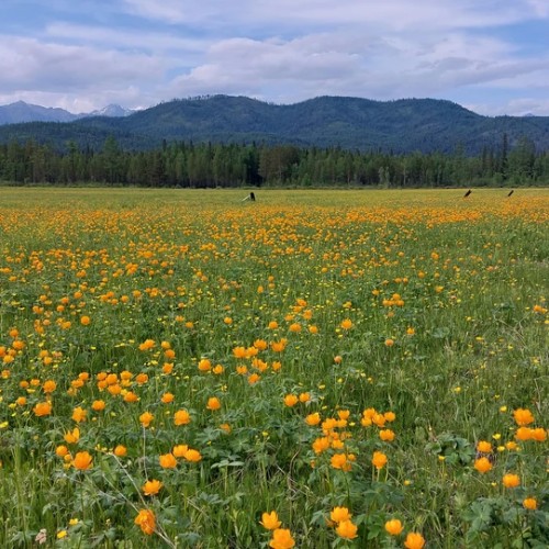 Подальше от цивилизации к озеру Хубсугул: индивидуальная поездка по Северной Монголии из Иркутска