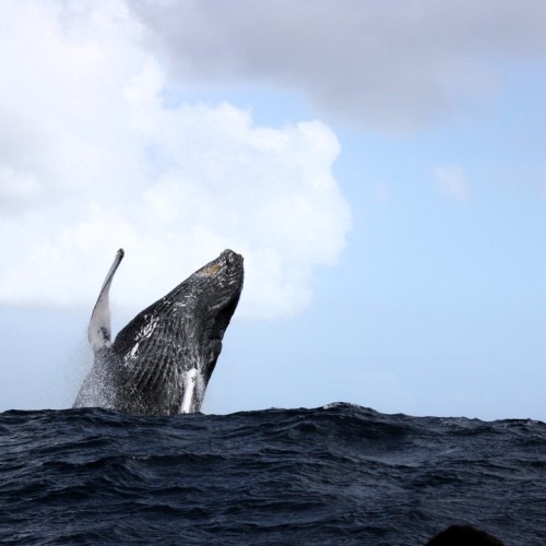 Териберка, Хибины, Мурманск: выходные в мини-группе с поездкой за северным сиянием