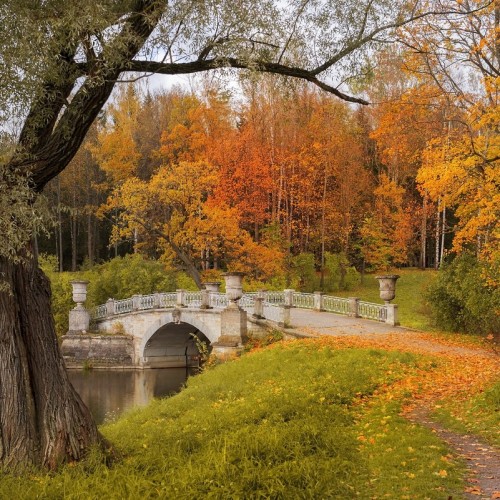 Идиллический Павловск