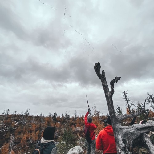 Детокс в Карелии: место силы, дары леса и походная романтика (всё включено)