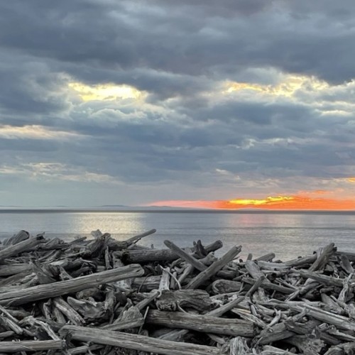 Навстречу гренландским китам: экспедиция к Шантарским островам с лекциями биологов