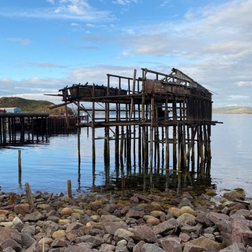 Вкусное путешествие на край света в мини-группе: Мурманск и Териберка