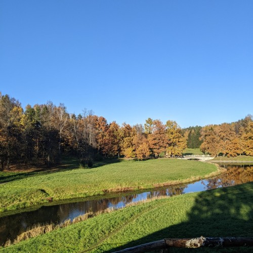 Истории любви на аллеях Павловского парка.