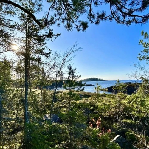 Водная стихия Карелии: от Онеги до Ладоги с проживанием в загородном комплексе