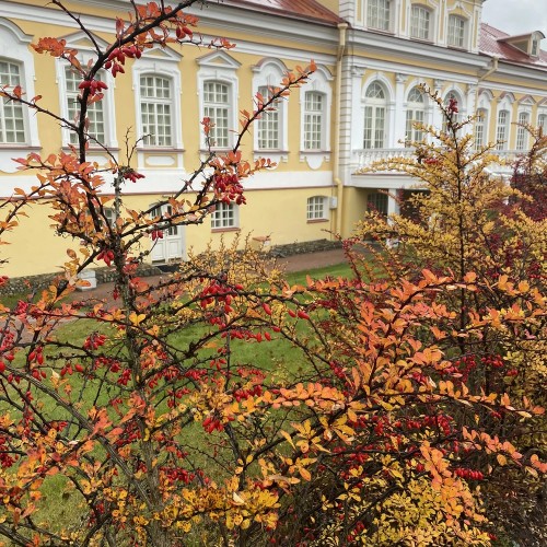 Ораниенбаум: дворцы и парк на берегу Финского залива