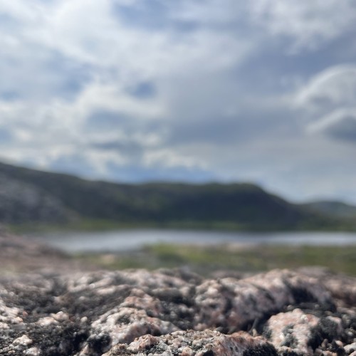 Своей компанией на Русский Север: Мурманск, Териберка, Кировск и саамы