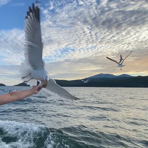 Тур «всё включено» на Байкал и в Бурятию: прогулка на катере, национальная кухня, буддийские святыни