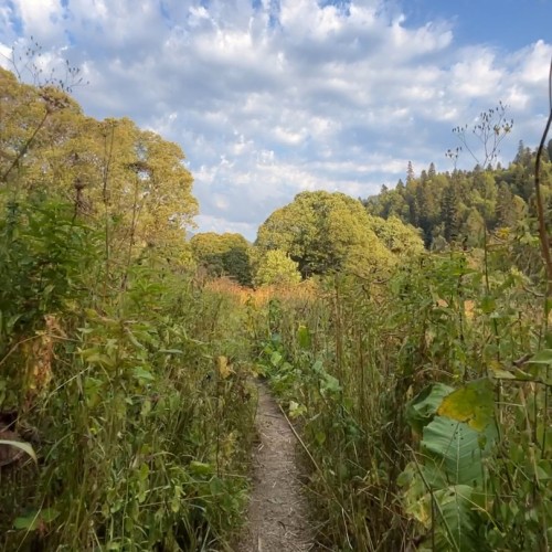 Поход в окрестностях Сочи: к озёрам Кардывач и Синеокое