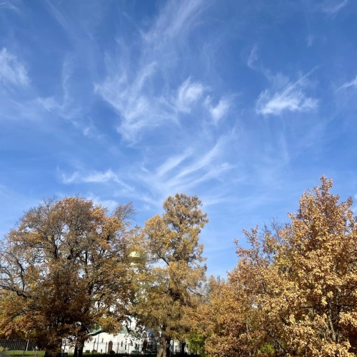 Любимая обитель Николая II в Царском селе — из Петербурга