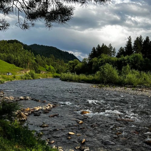 Чемал – легенды и реальность